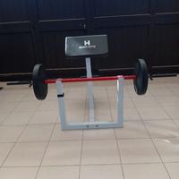 Palestra Panca scott