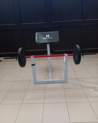 Palestra Panca scott