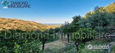Terreno agricolo 12.000 mq a piedimonte etneo