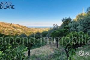 Terreno agricolo 12.000 mq a piedimonte etneo