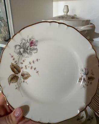 Servizio Piatti vintage 36 pezzi Richard Ginori