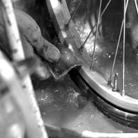 Stampa fotografica su lastra di alluminio