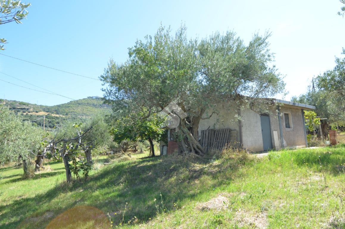 TER. AGRICOLO A TIVOLI - Vista 2