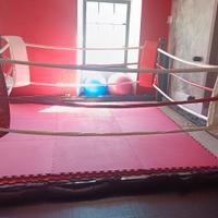 ring pugilato,boxe, kick