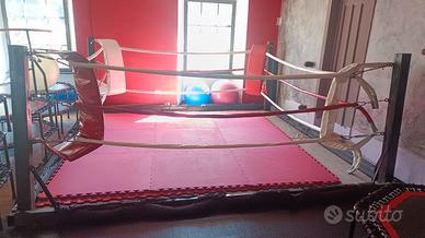 ring pugilato,boxe, kick