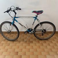 Bici bicicletta mountain bike Roger