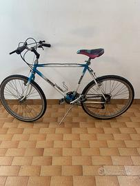 Bici bicicletta mountain bike Roger
