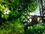 Immagine 21
