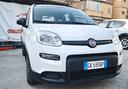 fiat-panda-1-0-firefly-s-s-hybrid-city-cross