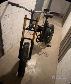 Bici elettica