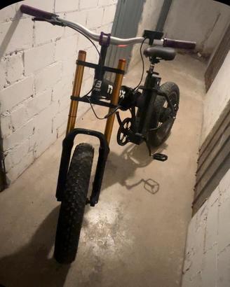 Bici elettica