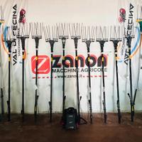 Promo raccolta olive 2025