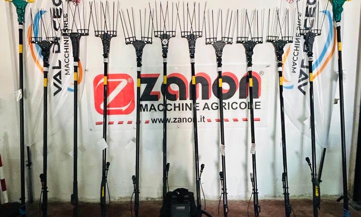 Promo raccolta olive 2025