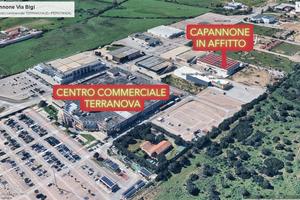 Capannone 300 mq vicino Terranova