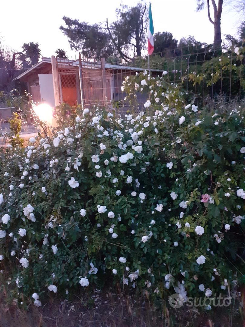 Terreno - Vista 5