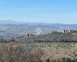 RUSTICO A ASSISI