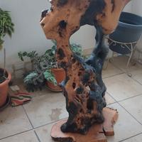 Tavolino in ulivo secolare