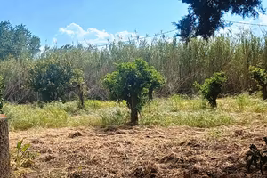 Terreno agricolo recintato-corrente -acqua