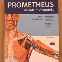 Prometeus Atlante di Anatomia testo universitario.