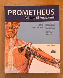 Prometeus Atlante di Anatomia testo universitario.