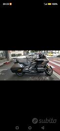 gold wing borse laterali