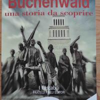 Buchenwald, una storia da scoprire - Salmoni