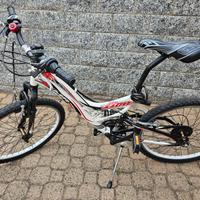 Montain bike Lion XMR 24" 8-12anni ragazzino