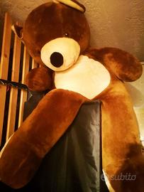 Peluche Orso
