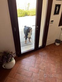 Villa rurale con giardino in albinea-