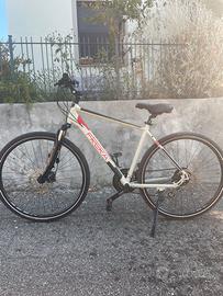 Mountain Bike Frera Cross-touring