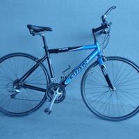 Bici Giant