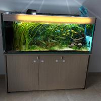 Acquario completo 