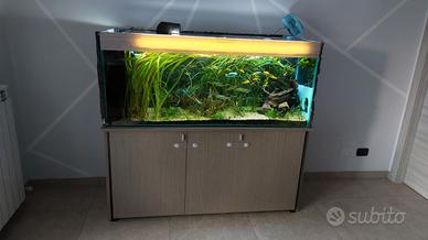 Acquario completo 