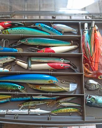 Articoli per pesca a traina