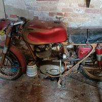 Ducati Altro modello - Anni 60