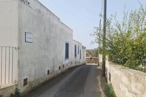 RGE 89/2024 Trib Barcellona PG