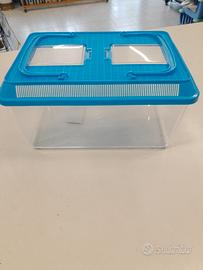 Vasca per pesci rossi o altro