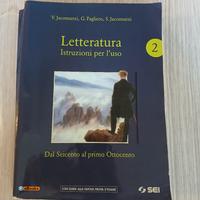 Letteratura. Istruzioni per l'uso 2