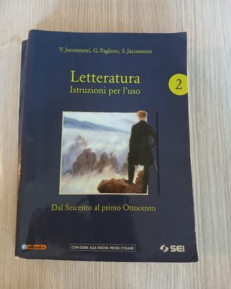 Letteratura. Istruzioni per l'uso 2