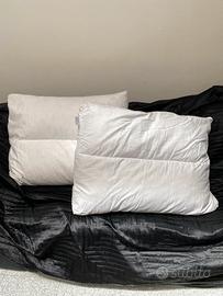 2 cuscini in piuma per divano