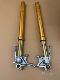Forcelle ohlins ducati multistrada 1200 1260