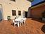 Immagine 11