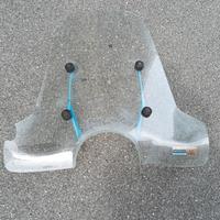 parabrezza scarabeo 100