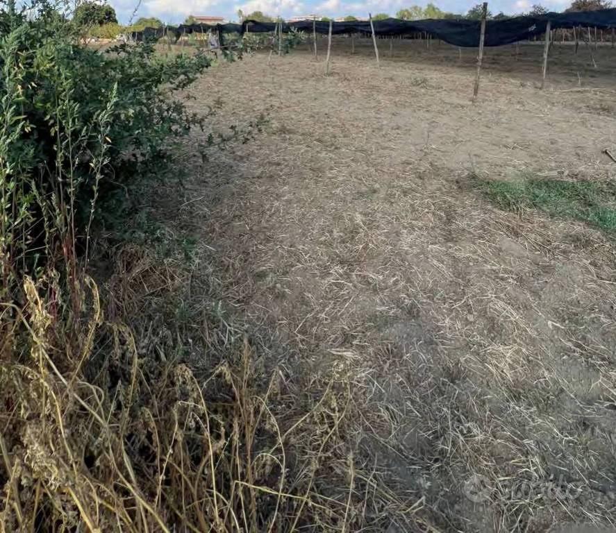 Immobile in asta di 19223 m² a Villaricca - Vista 4