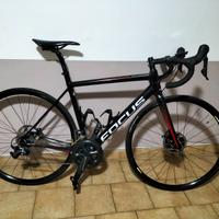 Focus Izalco Race 9.8 Disc Tg 54