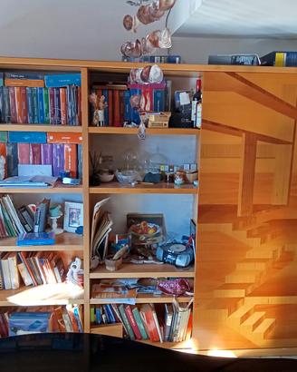 Libreria vetrina con anta scorrevole 