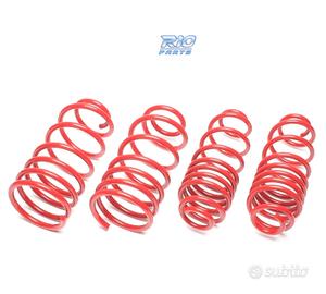 KIT MOLLE SPORTIVE PER SKODA