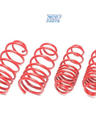 KIT MOLLE SPORTIVE PER SKODA