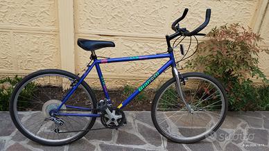 Mountain bike uomo