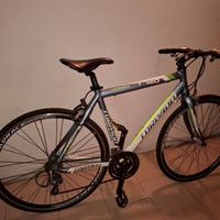 Bici uomo torpado 